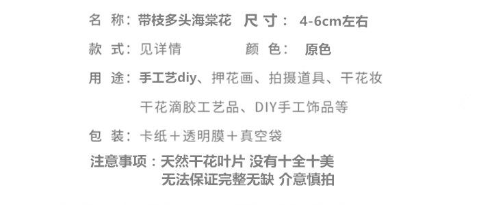 带枝多头海棠.png