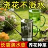 Regador de bico longo em aço inoxidável para uso doméstico, regador de flores, regador de plantas verdes, borrifador grande, ferramenta para regar flores