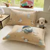 2026 Nuevo Juego de Dos Fundas de Almohada de Vellón de Leche Invierno Dormitorio Universitario Habitación Individual Dedicado Resistente a Manchas a Prueba de Aceite Funda de Almohada