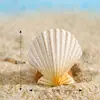 Decorações de paisagens em miniatura: prancha de surf, veleiro, conchas do mar, gaivotas, série de praia e litoral com tema oceânico, pequenos enfeites, feito à mão