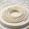Concha Marina de Agua Dulce Natural Concha de Caracol Cuentas Sueltas Concha de Arroz Pequeña Agujero Recto Caracol Flor Cuentas para Hacer Manualidades Collar Pulsera Accesorios de Joyería