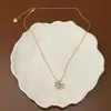 Colar com Pingente de Pônei Zircônia Dourada Estilo Coreano, Corrente de Pescoço Versátil de Luxo Leve Cadeia para Suéter, Acessório do Ano do Cavalo