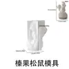 Flor de Papoula Pinha em Pé Avelã Esquilo Vela Molde de Silicone DIY 3D Aromaterapia Gesso Resina Molde