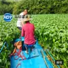 Equipamento de coleta e trituração de salvamento de aguapé Barco Triturador de Capim de Rio em estoque Jiangsu Barco Coletor Triturador de Capim de Água
