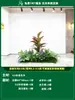Paisagismo de Planta Artificial Varanda Arranjo de Paisagem Escada Interna Sob Árvore de Flores Artificiais Decoração Biomórfica Planta Verde Paisagismo Combinação