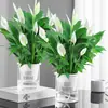 Planta de Palma Blanca en Maceta, Planta de Flor de Rábano Verde Navegando Tranquilamente, Flor de Interior, Planta Roja de Palma Verde Hidropónica, Árbol del Dinero, Purificador de Aire