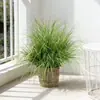 Plantas Artificiais de Grama de Cebola em Vasos, Plantas Verdes, Plantas Artificiais para Paisagismo, Flores Artificiais, Flores Artificiais para Arranjo de Cenas