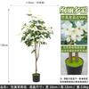 Planta Verde Simulada Jasmim Interna Grande Planta Verde Biônica Flor Artificial Falsa Árvore Ornamentos Decorativos de Chão Árvore de Flores em Vaso