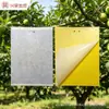 Fornecimento de fábrica placa de inseto pegajoso placa azul pasta de papel pasta amarelo pequeno inseto voador controle de frutas vara de mosca de frutas placa de armadilha de pomar atacado