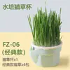 Maceta Hidropónica para Hierba de Gato Perezoso Taza Caja Cultivo Hierba de Trigo para Gatos Arrancapelos Hierba de Trigo Fresca Autocultivable Snack para Gatos Planta en Maceta