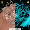 Lantejoulas que Brilham no Escuro Glitter Nail Art DIY Lantejoulas Sonhadoras Fluxo Misto Glitter Multicor Tartaruga Luminescente Noturna
