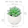 Planta Suculenta Copa de Diamante Bonsái Decoración para el Hogar y la Oficina Es1178-4 Micro Paisaje Afelpado Mini Alta Simulación
