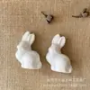 Espuma caricatura Conejo Conejo blanco embrión conejo de Pascua embrión hecho a mano DIY fábrica venta directa