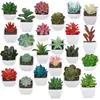 Más de 100 Tipos de Combinaciones de Plantas Suculentas Artificiales en Maceta Mini, Ventas Transfronterizas Populares, Estilo Sencillo Decoración del Hogar Flores Artificiales y Plantas Verdes, Directo de la Fábrica Fuente