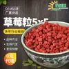 Fábrica de Origen Fresa Liofilizada Grano Fresa Seca Fresa Entera Seca Bebida Sólida Fruta Liofilizada Seca 1kg