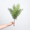 Venta al por mayor de plantas verdes ornamentales para paredes, incluyendo helechos, clemátides, helechos silvestres de montaña, bambú negro, tuya, helechos de espárrago y helechos extranjeros