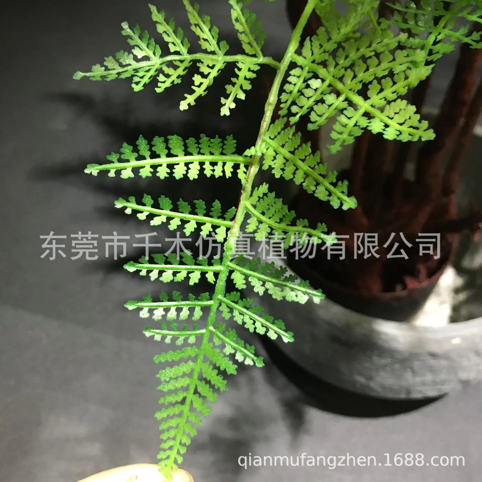 微信图片_202012042043208