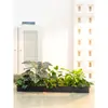 Flores Artificiais Plantas Verdes Conjunto de Divisória Decorativa Flores de Plástico e Seda Decoração de Paisagismo Arranjo de Paisagem Exibição de Janela Interna