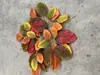 Hojas de árbol artificiales: hojas de arce rojo, hojas de arce japonés, hojas de ginkgo, hojas de plátano de sombra, hojas de sicómoro, hojas de arce de cinco puntas, ramas de aliso, hojas de plástico artificial