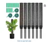 Columna de musgo sphagnum nueva transfronteriza altura 25CM soporte de musgo set de plantas trepadoras columna verde de coco para rosas