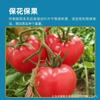 Fertilizante Solúvel em Água à Base de Proteína de Peixe para Frutas e Vegetais, Solução Nutritiva para Flores e Plantas Verdes, Melhorador Geral de Solo, Fertilizante Foliar para Enraizamento e Fortalecimento de Mudas