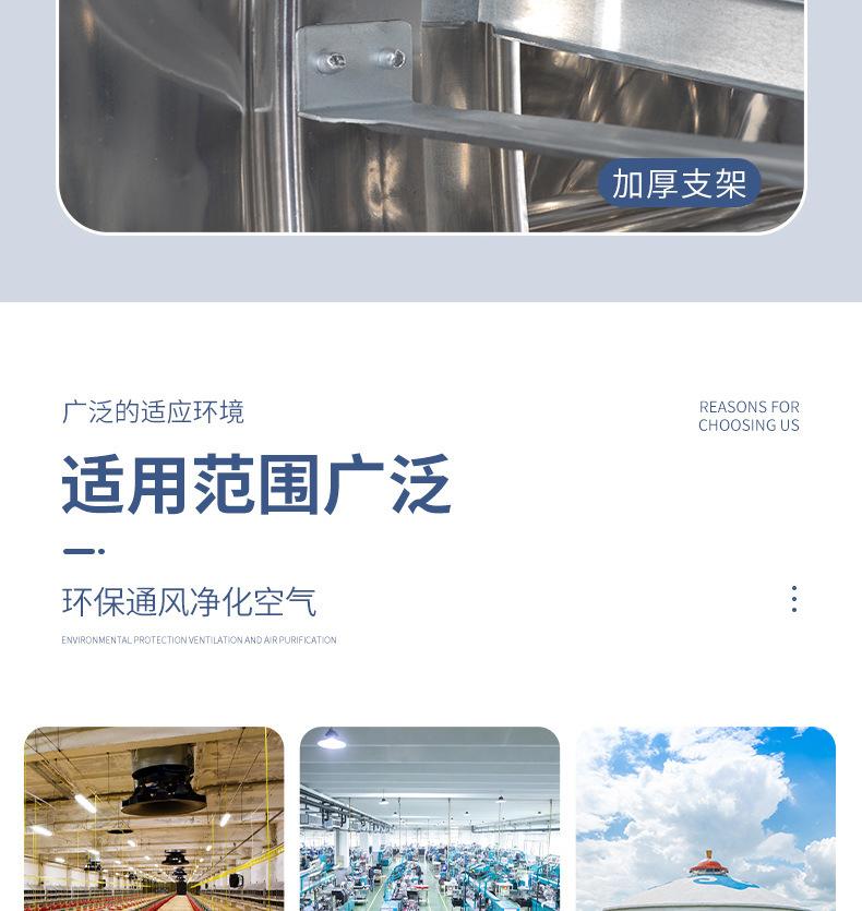 详情5.jpg