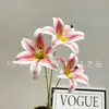 Flor Artificial Lírio Sem Folhas de Três Cabeças Corredor de Casamento Salão de Casamento Fotografia Câmera Vitrine de Shopping Atacado Transfronteiriço