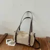 Bolso de Almohada Versátil de Nicho Estilo Coreano Moda de Gama Alta Casual Bolso de Hombro Estilo de Lujo Ligero Transfronterizo Bolso de Mano de Comercio Exterior