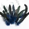 Plumas de Cola de Gallo de Colores 15-20 Manualidades DIY Tocado Indio Performance Juguete para Gato Plumas de Volante