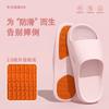 Chinelos Antiderrapantes para Gestantes para Uso Externo de Verão Feminino 2025 Novos Chinelos Silenciosos Antiodor para Piso de Casa Interno