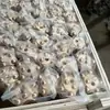 Broca de Dente Esférico 50 Dentes Esféricos 5 Dentes 46 Dentes Esféricos 7 Dentes Broca Liga Metálica Material Prensado a Frio Broca para Rocha