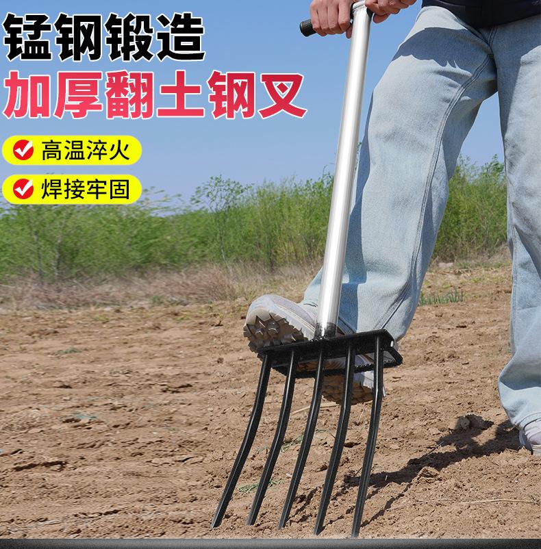 详情_01.jpg