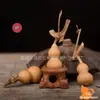 Venta directa de fábrica calabaza pequeña retorcida a mano arte popular estadounidense calabaza de juguete hierba dentro calabaza pequeña dorada venta al por mayor