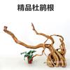 Raíz de cuco de madera de raíz grande para paisajismo ADA paisaje Madera paisajismo árbol con forma de madera hundida Raíces de árbol hundidas malayas