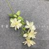 Clematis Simulado Flor Artificial Casamento Auditório Fileira de Flores Flor de Referência Flor Avançada Arte Floral Conjunto de Decoração de Flores