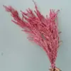 Flores Eternas, Flores Secas Reales, Arreglos Florales al por Mayor, Accesorios para Ramos, 20 Colores en Stock, Suministro Directo del Fabricante