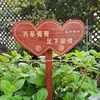 Horta Externa Flor e Planta Jardim de Infância Jardim Plantio Solo de Jardim Placa de Madeira Placa de Madeira Gravada Personalização