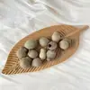 Frutas de Plantas Importadas, Flores Secas, Cascas de Frutas Curativas, Materiais para Artesanato DIY de Espécimes, Atacado e Dropshipping