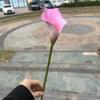 Cubo de bendición de flores de Nochevieja de color rojo rosa, venta al por mayor de fábrica de flores falsas, cubo de bendición de color rojo rosa y morado, flor artificial para boda y hogar