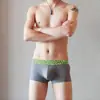 Ropa Interior Masculina Nueva de Secado Rápido Elástica, Seda de Hielo, Malla Sexy, Transpirable, Bolsillo en U Juvenil, Boxer Briefs