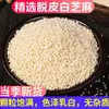Semillas de Sésamo Blanco Peladas Cocidas, Listas para Comer sin Lavar, Horneadas, Sin Impurezas, Semillas de Sésamo Blanco Peladas Crudas, Semillas de Sésamo Cocidas, Nueva Llegada