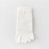 Calcetines de Cinco Dedos para Mujer de Algodón sin Costuras Anti-Olor Malla Absorbente de Sudor Transpirable Algodón Calcetines Cortos Primavera y Otoño Finos Calcetines de Dedos Separados al Por Mayor