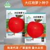 Coleção Atacado de Sementes de Rabanete Outono Shawo Açúcar Cristal Crocante Abacaxi O Ano Todo Fruta Cereja Rabanete Sementes de Cenoura