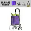Carrito de Compras Plegable para Uso en Casa, Carrito de Mano Portátil Ligero, Carrito de Compras Pequeño Portátil Engrosado, Carrito Ahorrador de Esfuerzo para Personas Mayores