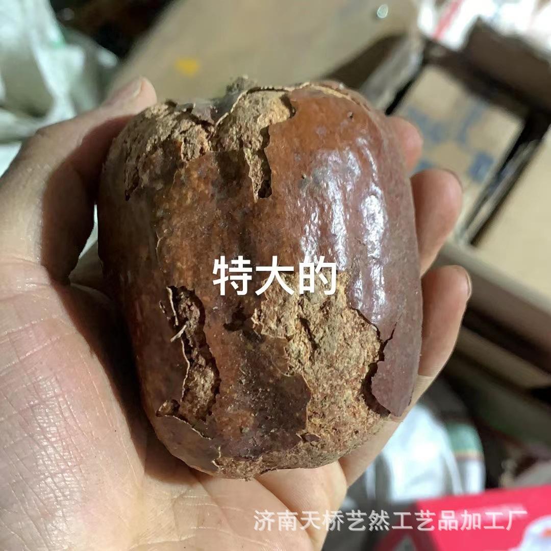 红皮佛心果特大.jpg