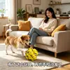 Brinquedo de jogo para animais de estimação, bola elástica, bola para animais de estimação para uso externo, eliminador de tédio para cães, bola de pipoca ETPU autoentretenível, resistente à mastigação, para saúde bucal
