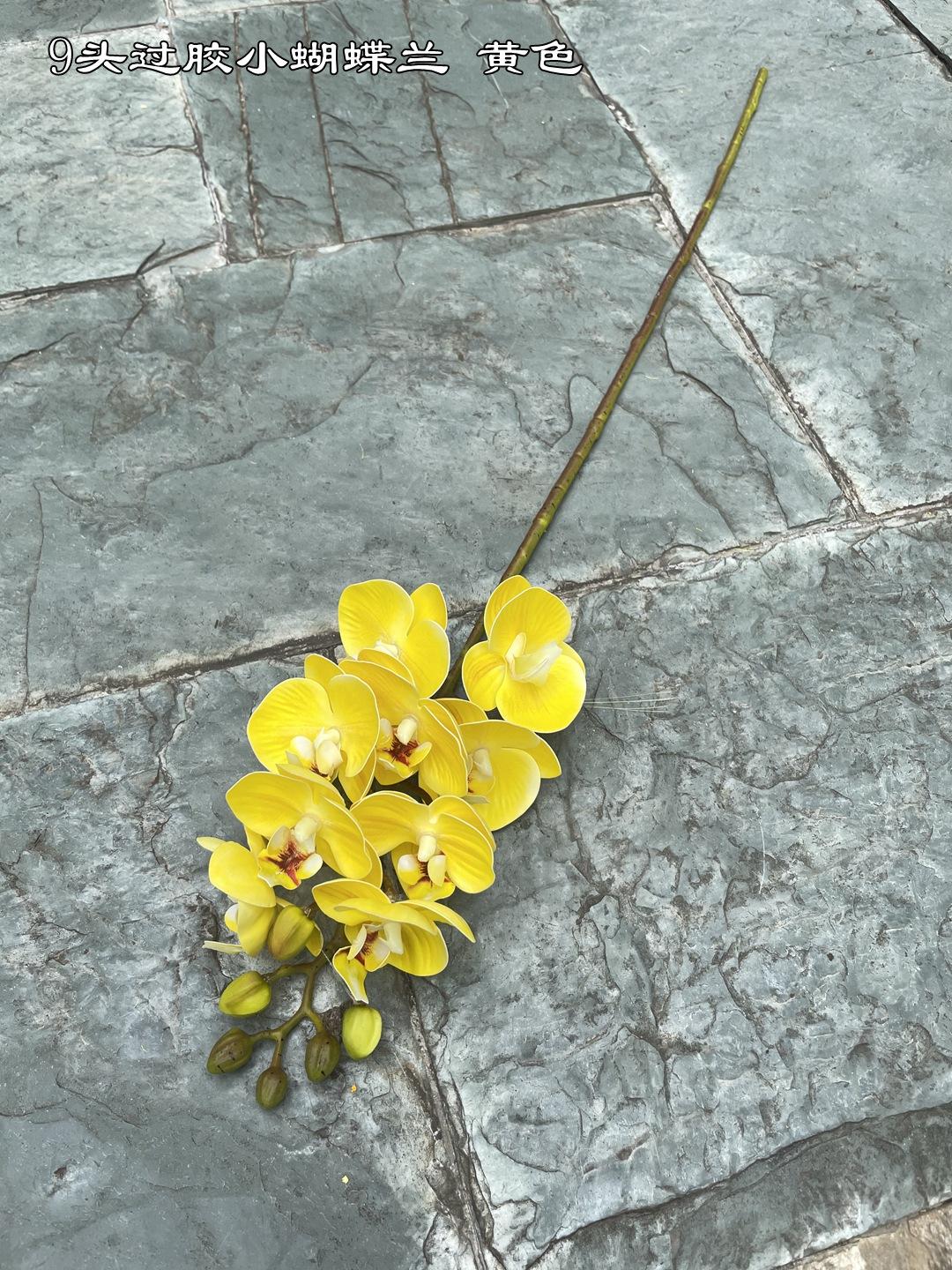 微信图片_20210806144812_副本