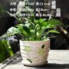 Vaso de Flores Extra Grande Cerâmica Grande Oferta Especial Liquidação Doméstico Simples Criativo Rosa Verde Único Vaso de Flores Suculentas com Prato