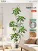 Plantas Verdes Artificiais de Alta Qualidade para Decoração de Sala de Estar, Planta Realista Falsa de Figueira-da-Índia Preta para Decoração de Sala de Transmissão ao Vivo