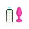 Fabricantes de productos para adultos al por mayor control remoto inalámbrico por APP con taladro silicona vibración de la zona trasera tapón anal juego de cuatro piezas Leya